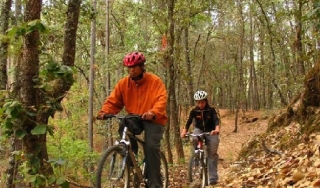Ciclismo guiado